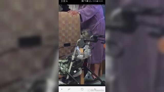 Baba pusi dedi na proslavi