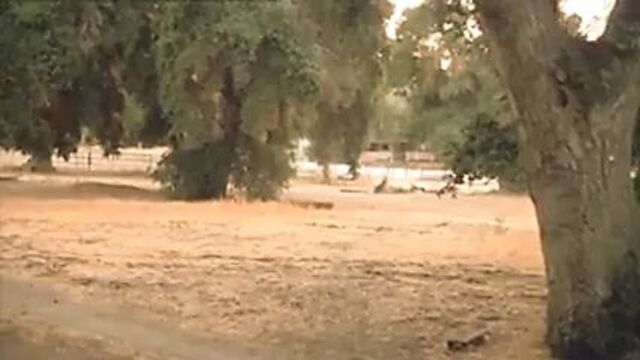 Gabrielle Anwar - 9 Tenths