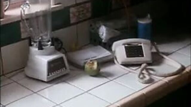 Joan Severance - Illicit Behavior