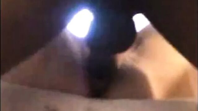 Wife's Fantasy: A Black Breeding Cuckolding