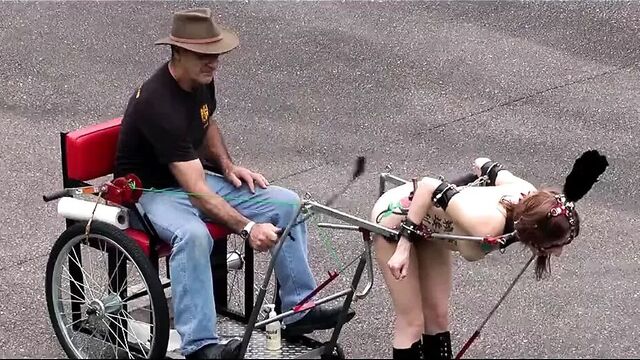 The Cart & The Crook-Lock System