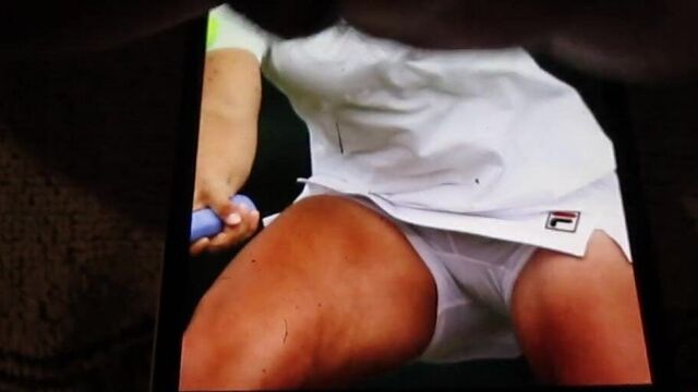 Ashleigh Barty wta tribute! Is she not beautiful?