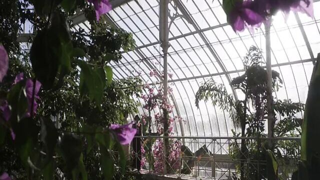 Vita and Virginia (2018) - Lesbian Scene