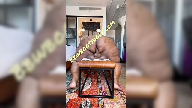 Ebony Big Booty SSBBW shaker