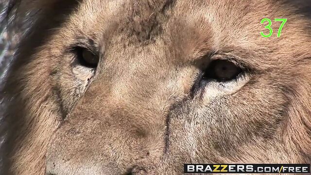 Brazzers - Teens Like It Big - Babysitter Caught In The Acti