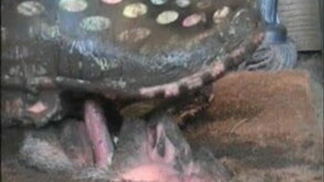 Most extraordinary doormat