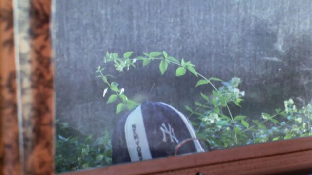 (((THEATRiCAL TRAiLER))) - The Pink Ladies (1979) - MKX