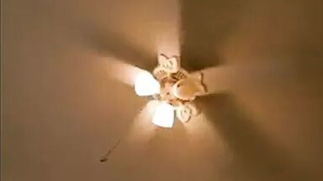 Jenny McCarthy funny sex