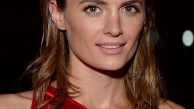 Selena Gomez vs Stana Katic Rd 1 jerk of challenge