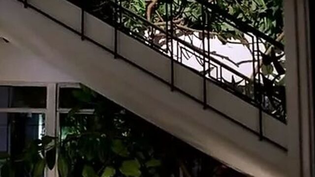 Leonor Varela - Paraison B