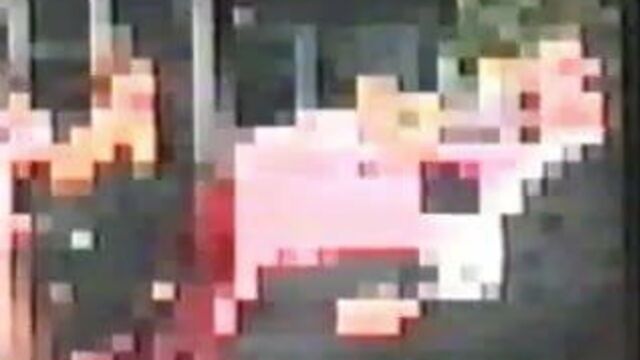 Alcuni Cazzi fa... 3