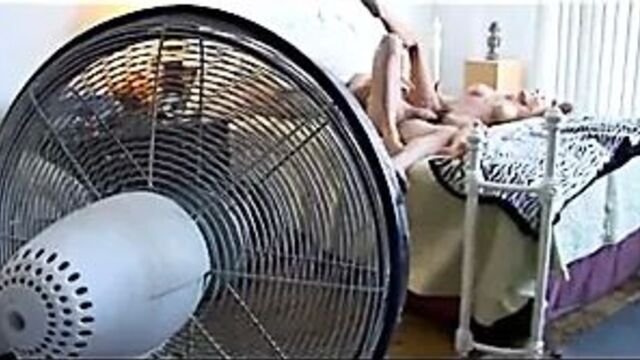 Vieilles Salopes 91 BVR