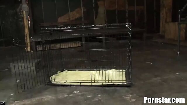 Gigi Rivera Gets Showered With So Much Loads Of Cum