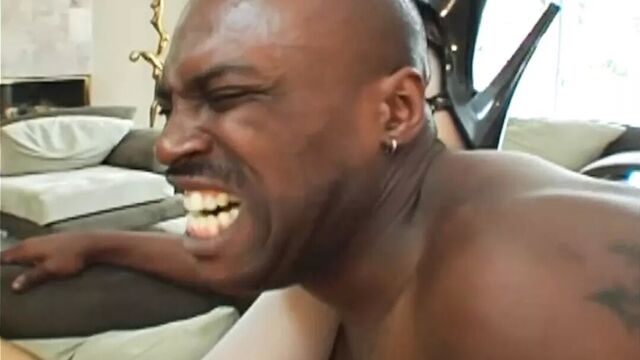 LEXINGTON STEELE - My Nasty Nymphos - Chapter 08