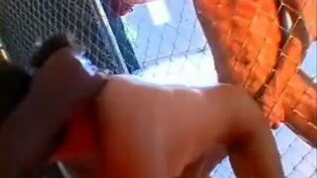 Sabrine Maui - Banana Cream Pie