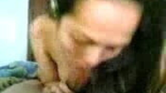 Malay (the colleagues)