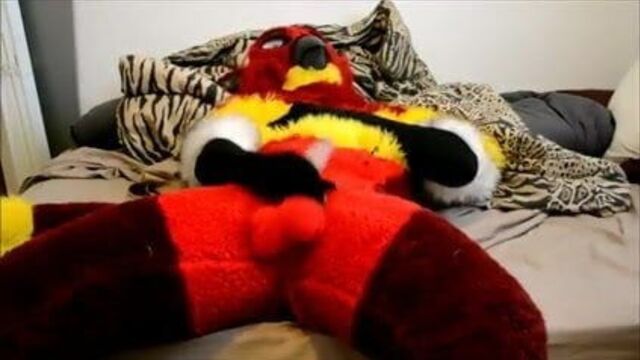Fursuit bird wanking