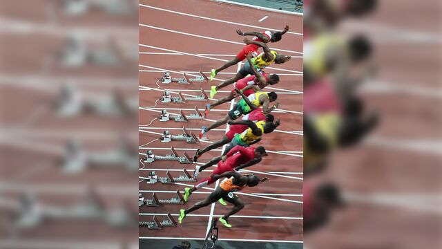 Sperm Competition, Biology, Semen, Evolution, Nature