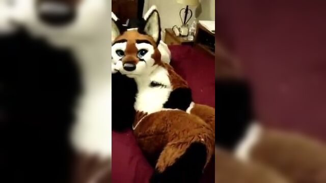 Female fox masturbating