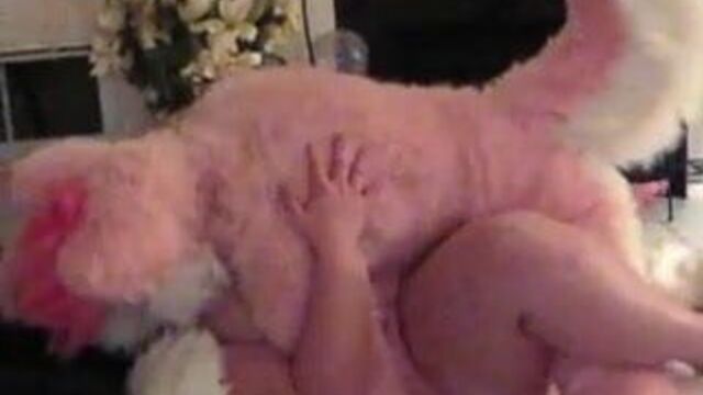 Pink husky fucks bbw til he cums